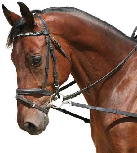 Ausbindezügel ohne Gummieinsatz, schwarz Pony