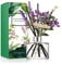 COCODOR Lavendel Raumduft Reed Diffuser mit 5 Duftstäbchen 200ml - Garten Lavendel, Natürlich, Langanhaltend, Home Duft ätherisches Öl Reed Diffusor für Badezimmer Regal Dekoration