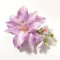 Pince à cheveux bohème pour femme, fleurs tropicales, accessoires de cheveux de mariée, barrettes antidérapantes pour mariage, plage, fête, usage quotidien (violet)
