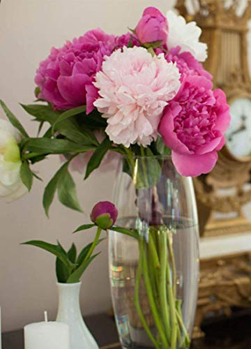 Maison Zoe Mundgeblasene und Handgefertigte Glasvase Amaryllis - Blumenvase - Deko & Hochzeit (26cm Slim)