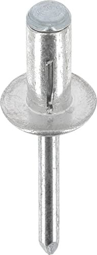 Rivets rivets speciaux Restagraf Ref: 9860
