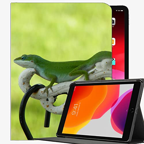 Koffer für neues iPad 10.2 2020/2019 - iPad 8./7. Generation Fallabdeckung, Eidechse Reptilien grün Leguana Fall Slim Shell Cover für iPad 10,2 Zoll