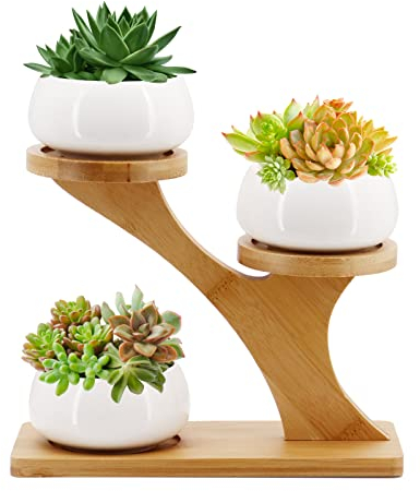Gearific Macetas para suculentas, maceta de cerámica con soporte de bandeja de bambú, macetas pequeñas para cactus para decoración de alféizar de ventana de escritorio en casa, oficina (redonda)