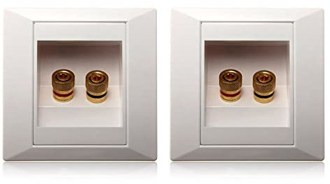 Fegtrty 2X Wall Socket Connection Port with 2 Jack Speaker White