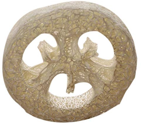 Yurhuit 150 Pcs Naturel Luffa Luffa Loofa Tranches À la Main Luffa Savon BoîTe Plateau Outils Nettoyant ÉPonge Porte-Savon