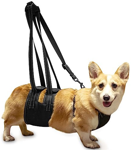 Ownpets Dog Support Harness Set,Support & Rehabilitation Sling w/ Adjustable Chest Strap,Assisted Strap & Hauling Cable,For Aged Dogs,Disable Dogs & Dogs Needing Help w/ Mobility or Balance (M),Black