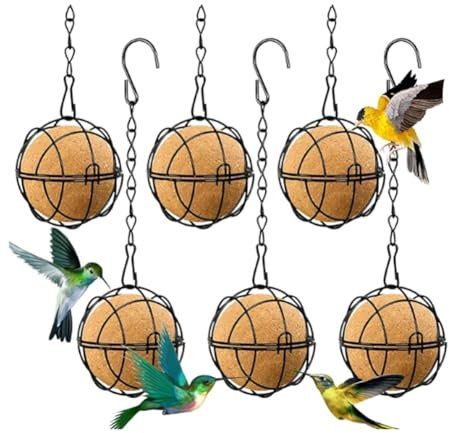 Diheohg 6 bolas de alimentación para pájaros, comedero para albóndigas de carbonero, comedero para pájaros para colgar, de metal con gancho, dispensador redondo para albóndigas de carbonero, color