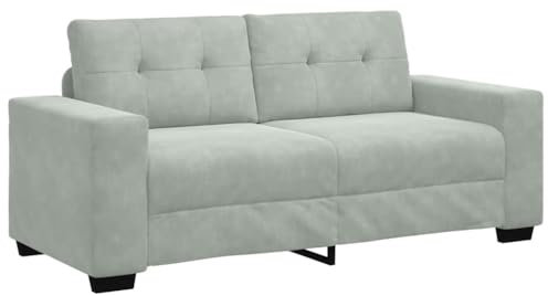 vidaXL Zweisitzer-Sofa Hellgrau 140 cm Samt