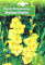 AGRONOM | GLADIOLOS JOYEUSE ENTRÉE | Bulbos de flores perennes | Flores Amarillo | Paquete de 7 bulbos de flores