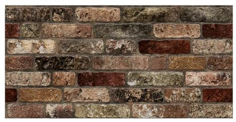 IZODEKOR Revêtement mural, aspect pierre, 100 x 50 x 2 cm, panneau mural effet 3D, pour cuisine et salon, utilisable à l'intérieur et à l'extérieur, 1 pièce