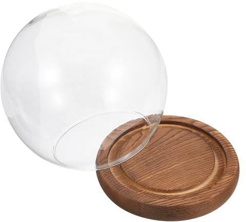 DOITOOL Glaskuppel mit Holzsockel Glasglocke Schutzhaube für Ewige Blumen Staubdicht Klarer Glasdisplay für Valentinstag Dekoration Micro-Landschaft