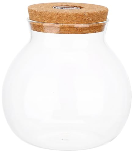 Kisangel Terrarium Verre Hydroponique Bouchon Liège et Éclairage LED, Bocal en Verre Hermétique 15X16 CM pour Propagation de Plantes, Aquarium Betta, Décoration Bureau