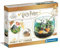 Coffret creatif la cabane de Hagrid avec ecosysteme - Terrarium pour Harry Potter - platre, Peinture, Tourbe, etc. - Jeu educatif