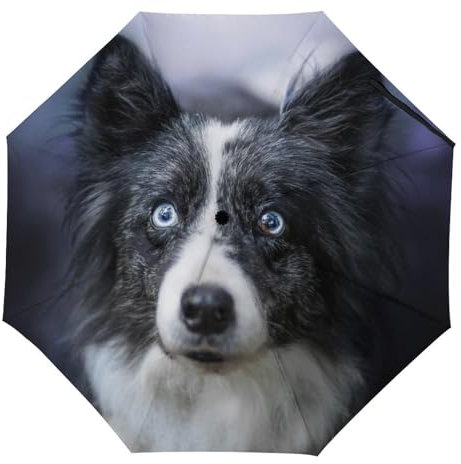 YBQLNP Kompakter Reise Regenschirm Schlauer Hund Taschenschirm Automatisch Auf Und Zu Faltbarer Sonnenschirm