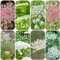 wilde möhre samen gartenblumen pflanzen garten blumen balkon pflanze blumensamen gartenpflanzen winterharte pflanzen für garten pflanzensamen blumen balkon balkonblumen stauden 250pcs