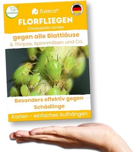 Futeco® – Florfliegenlarven gegen Blattläuse, Spinnmilben, Thripse & Co. - Karten zum einfachen Aufhängen - 10 Karten für 10-20 Pflanzen - starke Wirkung bei Gemüse-, Cannab.- & Zierpflanzen