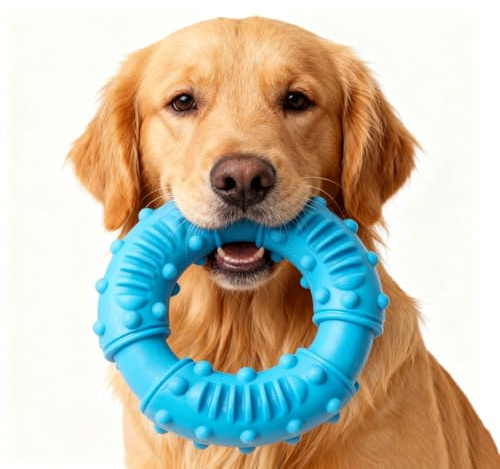 EclipseGuard Hundekauspielzeug, Hundespielzeug Unzerstörbar Gummi für Starke Kauer, Kauspielzeug Hund, Denta Fun Pflege Ring, Naturgummi Spielzeug für Kleine/Mittelgroße/Große Hunde Rot (Blau)