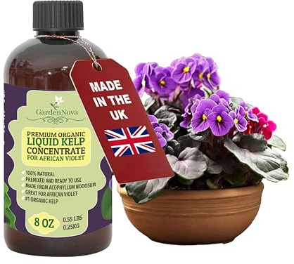 GARDENNOVA Premium Organic Seaweed & Kelp Superfood for African Violets - 8 oz - Liquid Kelp Fertilizer Concentrate (Makes 25 Litres)