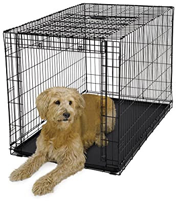 MidWest Homes for Pets Ovation modelo 1948 Jaula plegable metálica para perros, tamaño grande y longitud de 121,92 cm, con una sola puerta, color negro, para perros muy grandes