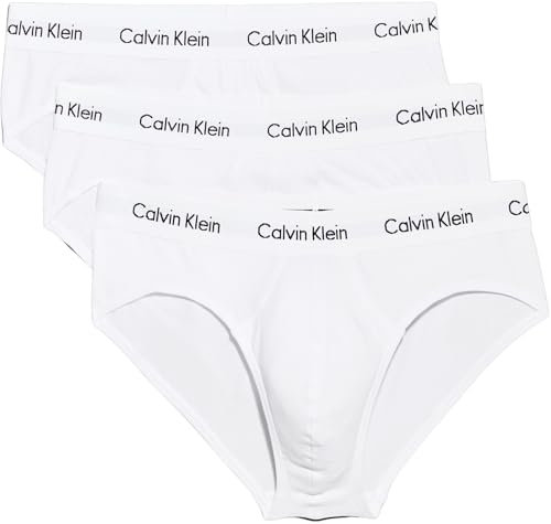 Calvin Klein Men's Hip Briefs, White, L