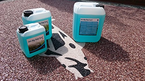 Aquaforte Liquid Alg-Stop 10 l Anti-Blanket Weed, White, 10 Litre