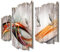 Kreative Feder 3-teilige Designer Wandgarderobe Moderne Welle - Flurgarderobe Wandpaneele Größe 95x60cm aus MDF (Moderne Welle)