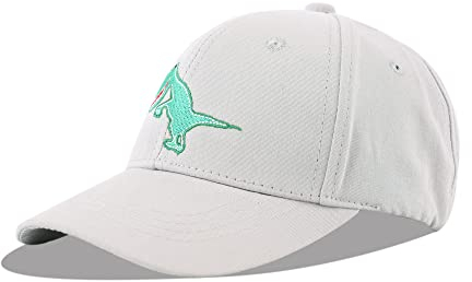 LANGZHEN Baumwolle Baseball Cap für Säugling Baby Jungen Mädchen Kleinkind Kinder Outdoor Einstellbare Nette Tier Hut (M-Dinosaurier, Grau)