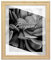 BIRAPA Bergamo Bilderrahmen vintage Holz- Optik - Bilder Rahmen 21x30 cm - Fotorahmen Glas antireflex Plexiglasscheibe - Wanddeko Fotowand Fotogeschenke