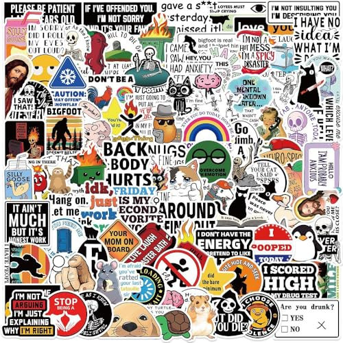 Funny Trendy Meme Prank Laptop 100 Pcs Stickers Pack Water Bottles Hydro Phone Skateboard Computer Phone Bike Funny Cartoon DIY Vinyl Stickers Waterproof Aesthetic Decals for Men Adult