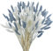 Barlone Lot de 120 petites herbes de la pampa séchées, herbe de la pampa séchée, fleurs séchées blanches et gris-bleu, petites fleurs de pampa pour décoration de salon, mariage, décoration de table