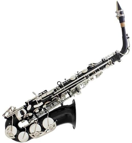 Schwarz Silber Altsaxophon Eb Messing Material(Black silver sax)