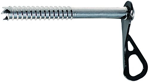 Climbing Technology Ice Screw, Vite da Ghiaccio Unisex-Adulto, Argento, 19