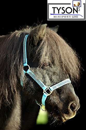 Tysons Breeches Glitzer Halfter Hellblau Minishetty Shetty Jährling Pony VB WB Bling Glitzerhalfter (Minishetty)