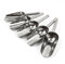 DIYI 5X Pelle INOX en Acier Inoxydable Alimentaire à Bonbons Glaçon Glace Confiserie Sucre Plastique - 8 inch