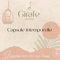 La Capsule Intemporelle de Girafe Comhunity