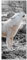 Pixxprint Glasbild Panorama, Wandbild aus Echtglas, weißer jaulender Wolf im Wald, 100x40 cm, inkl. Aufhängung und Abstandshalter