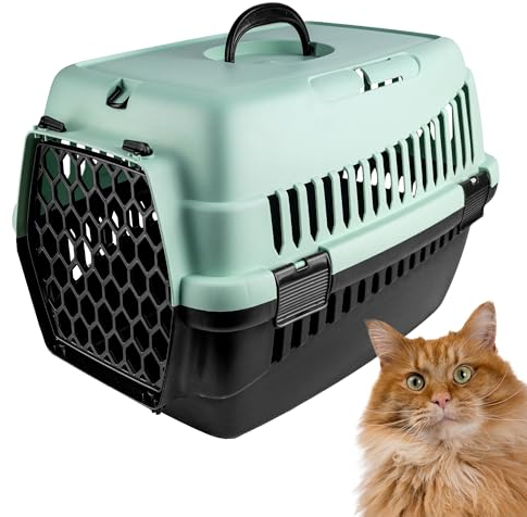 Creative Pets Katzentransportbox | Transportbox für Haustiere, Hunde, Katzen, Kaninchen | Katzenkorb Transport | Maße 50x33x33 cm | Minzgrün | Hundebox Tiertransportbox Hundetransportbox | Kunststoff