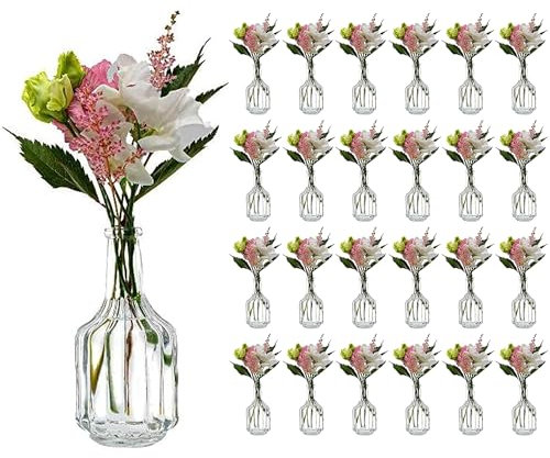 casavetro 24 jarrones pequeños de cristal HALSI rústicos vintage, jarrones transparentes, mini botellas decorativas (24 x Halsi)