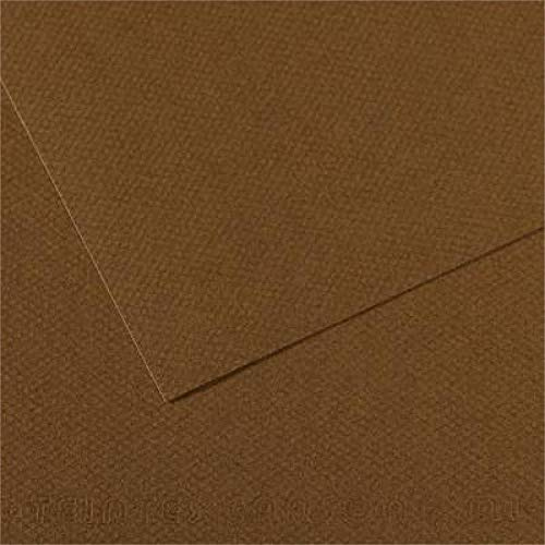 Canson 200331484 Mi-Teintes Künstlerpapier, 160 g/qm, 50 x 65 cm, Dunkelbraun