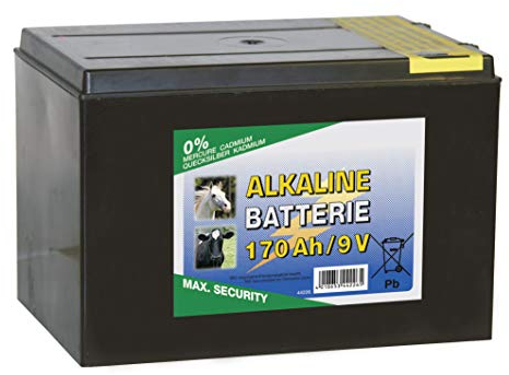 Corral TR-CRL0030 Pile Alcaline Sec Transparent 175 Ah