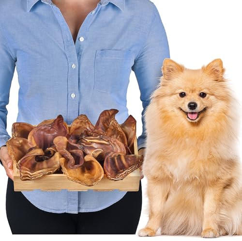 Schweineohren für Hunde 20 Stück Größe S (600g), getreidefrei