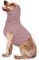 PUMYPOREITY Dog Snood, Dog Shirt Turtleneck Dog Neck Wound Protector Dog Snood Ear Protector Dog Neck And Ear Warmer Dog Cover Head for Eat Food Dog Post Op Body Suit(Purple, M)