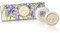 Wisteria Fleur, Coffret cadeau avec 3 savons végétaux de 100g, Savon de Fiorentino italienne, la main avec décoratif gravé