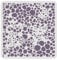 FINGERINSPIRE Pochoir Théorie Cellulaire 30X30cm Motif Cellule Réutilisable Pochoir Dessin Pois Peinture Pochoir Bricolage Artisanat Pochoir Points Ronds pour Peinture sur Bois Toile Papier Sol Mur