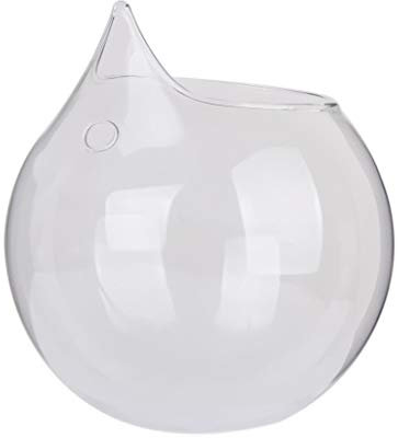 Wresetly Clear Shaped Glass Hanging Vase Bottle for Plants Flower Decoration