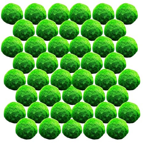 vdvelde.com - Mooskugeln 50 Pflanzen - - 50 Sauerstoffpflanzen - Durchmesser ca. 5cm - Platzierung: lose im Wasser