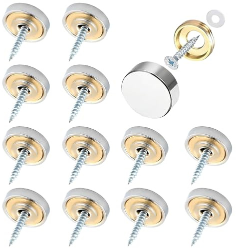 12 Pièces Vis de Miroir en Acier Inoxydable Brossé de 10 MM