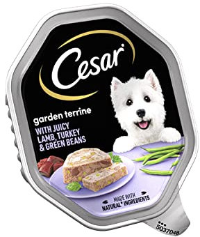 Cesar 150G Turkey & Lamb
