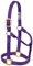 Weaver Leather Original Pferdehalfter, Nylon, Nicht verstellbar, Violett, Jährling