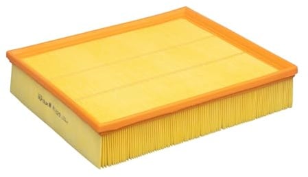 PURFLUX A1029 Luftfilter
